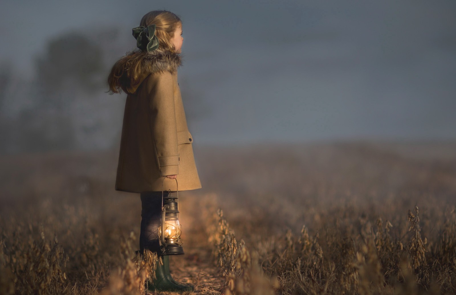 con gái, cánh đồng, sương mù, đèn