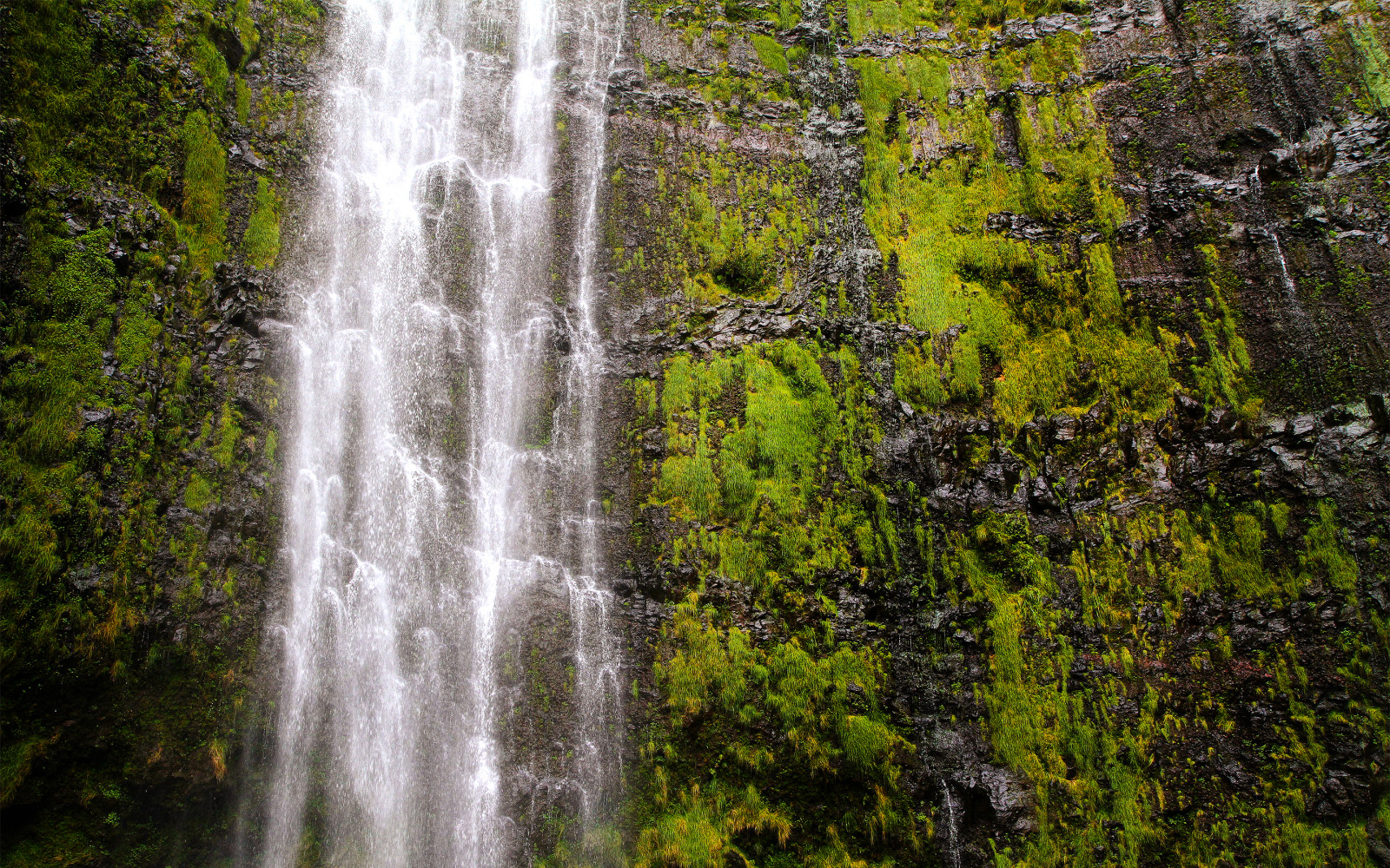 滝, 米国, マウイ, ハワイ