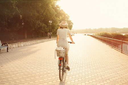 自転車, 女の子, 都市