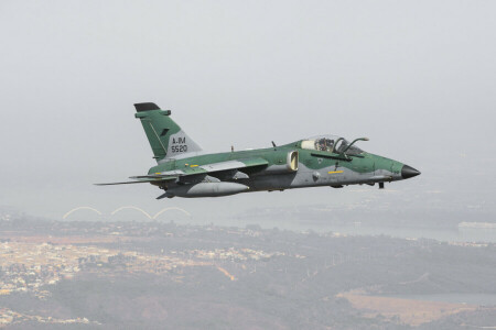 A-1M, 브라질리아, 브라질, FAB, 비행, 조종사, 하늘, 전대 연기