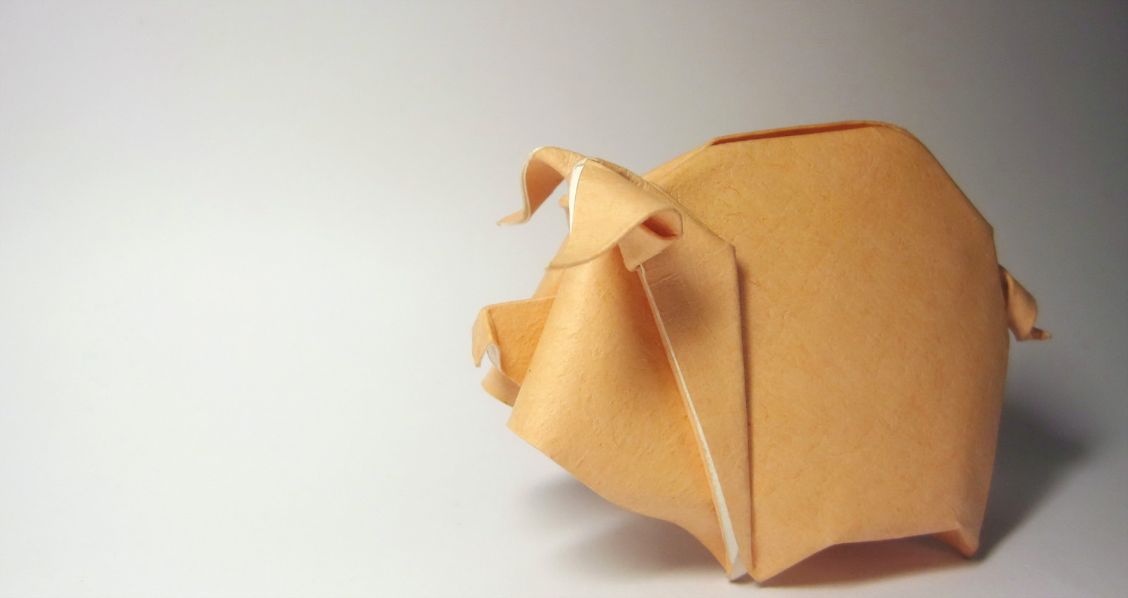 lý lịch, origami, heo con
