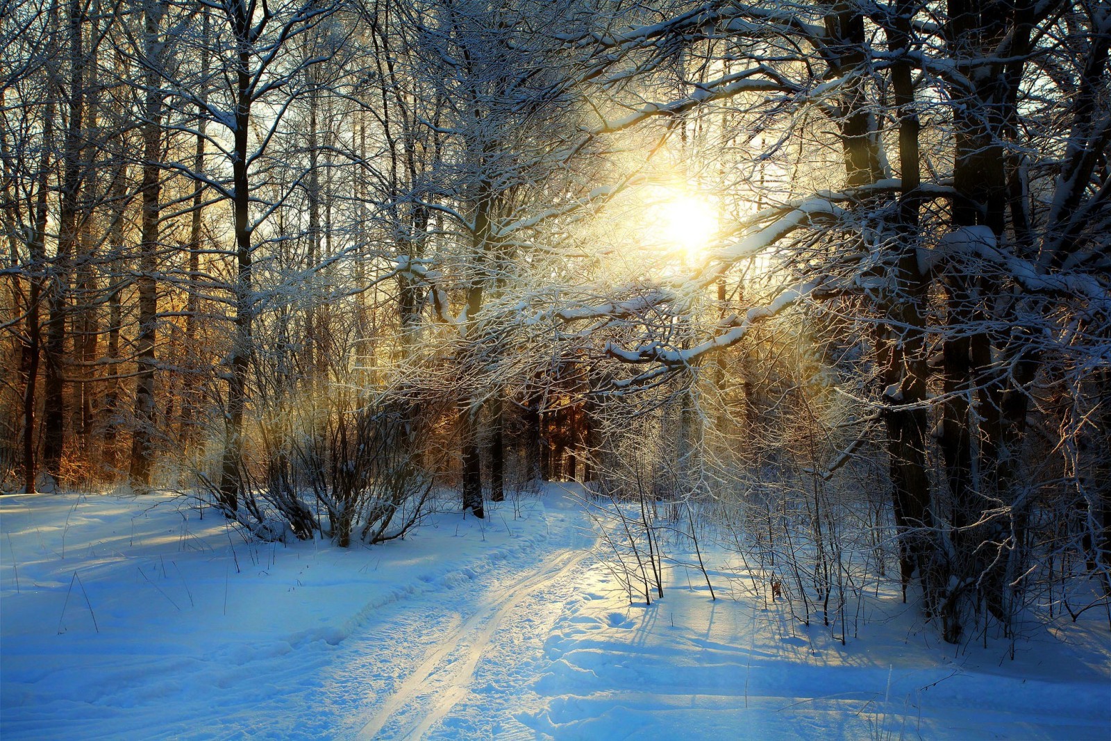 salju, hutan, alam, langit, matahari terbenam, musim dingin, pemandangan, jalan