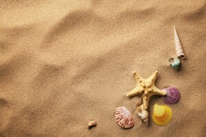 砂, シェル, 貝殻, ヒトデ