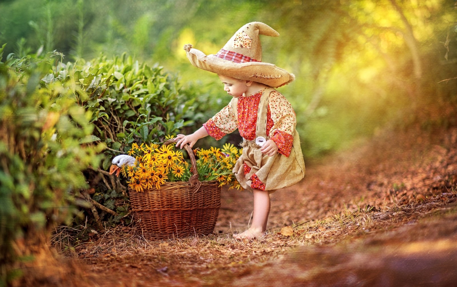 bunga-bunga, kisah, topi, kostum, anak laki-laki, keranjang, angsa, Masa kecil