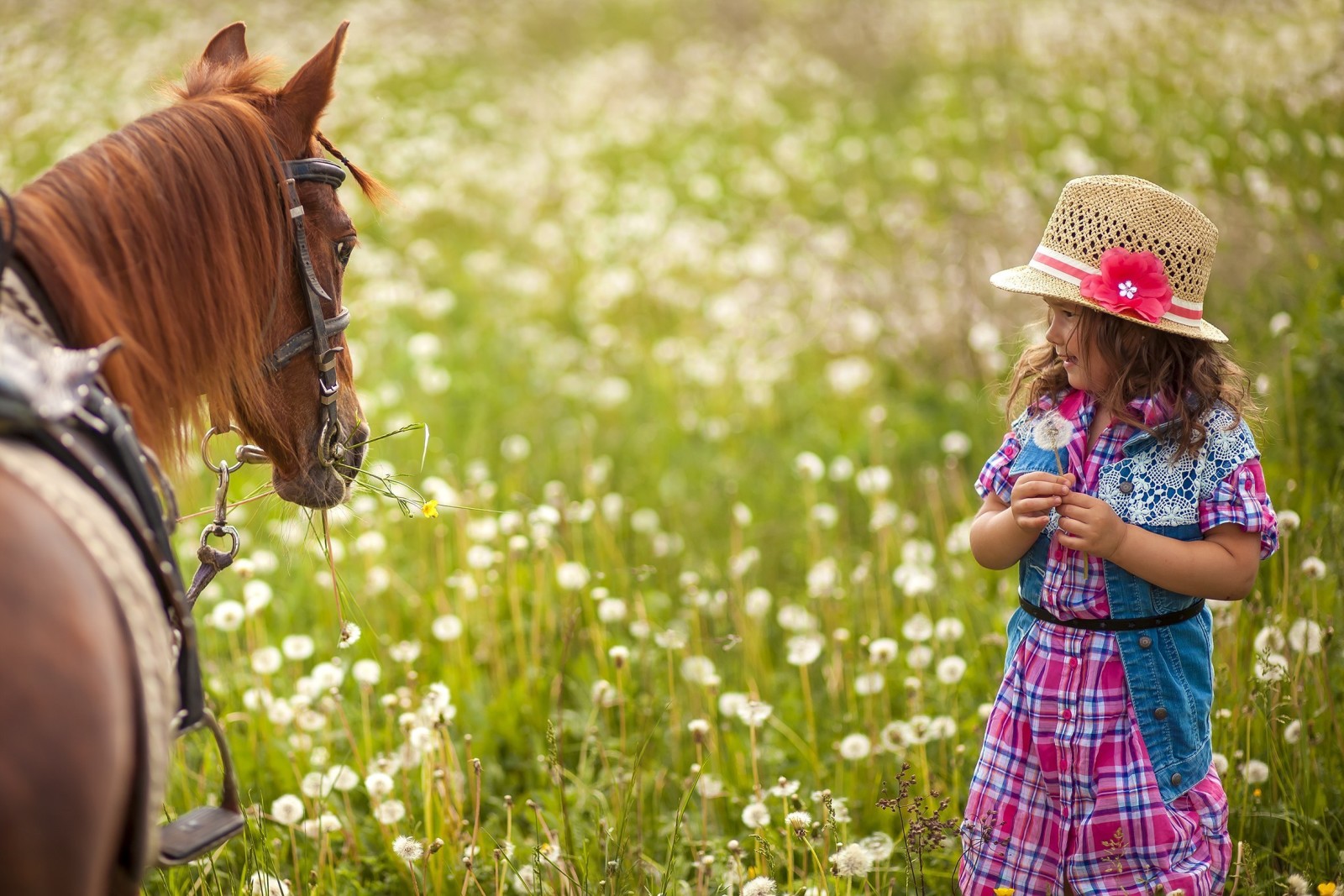 cỏ, Thiên nhiên, con ngựa, cánh đồng, những bông hoa, đứa trẻ