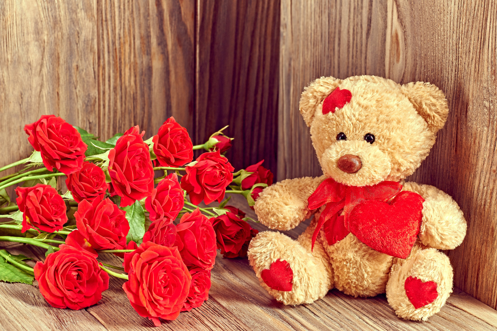 cinta, romantis, hari Valentine, hadiah, mawar, beruang, jantung, teddy