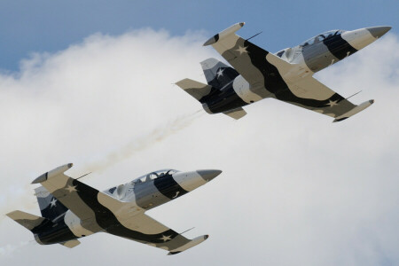 "신천옹", 에어로 L-39, 알바트 로스, 전투 훈련, 비행, 비행기