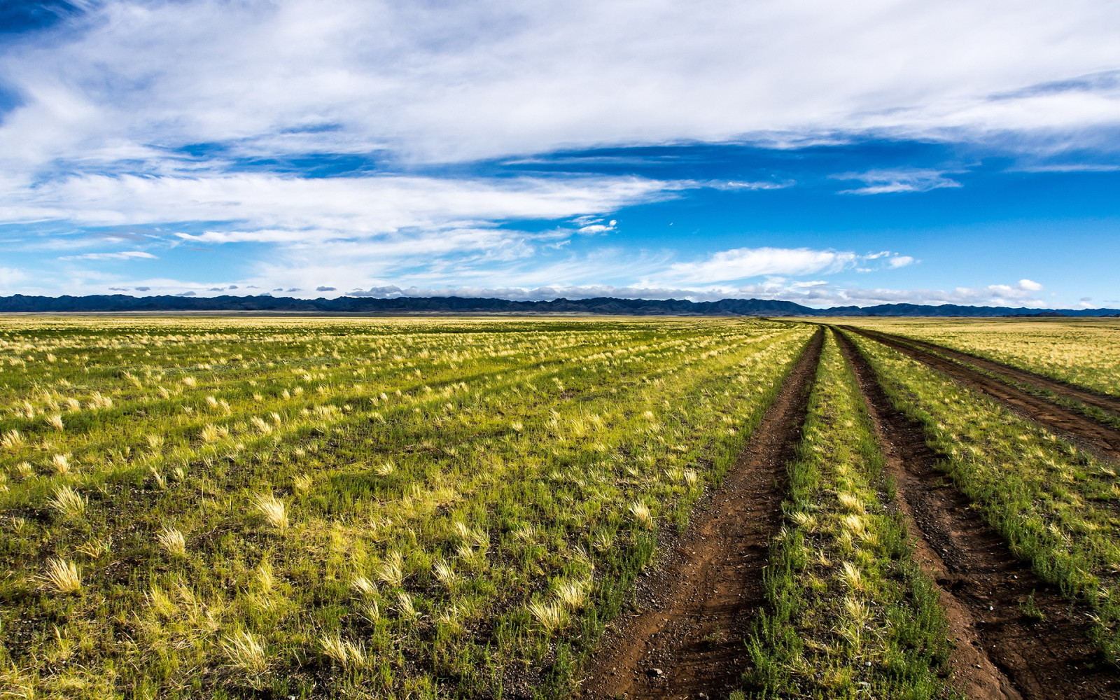 phong cảnh, đường, cánh đồng, Mông Cổ