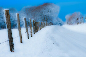 도로, 눈, 울타리, 겨울