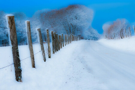 道路, 雪, フェンス, 冬
