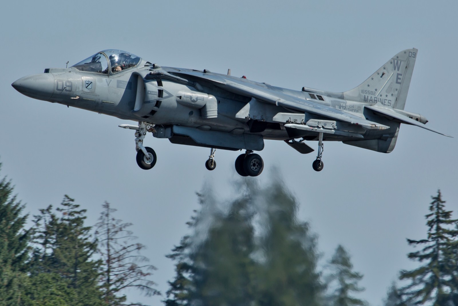 Pejuang, bangkitnya, Menyerang, AV-8B, Harriers