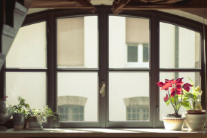 꽃들, 유리, 냄비, 창문