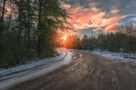 자연, 도로, 눈, 나무, 겨울