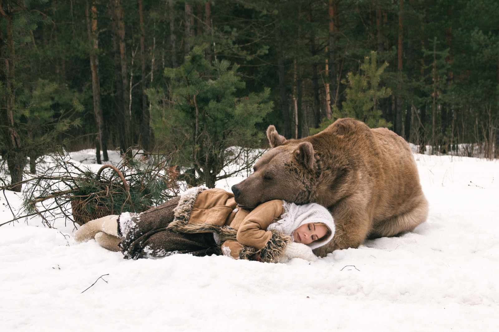 hutan, gadis, musim dingin, beruang, tidur