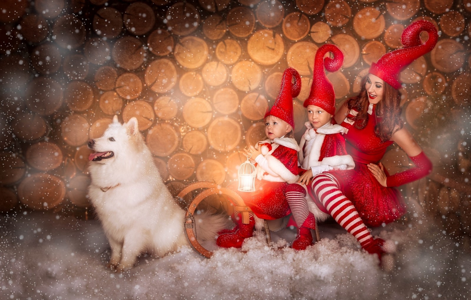salju, anjing, anak-anak, gadis, kereta luncur, Samoyed, topi