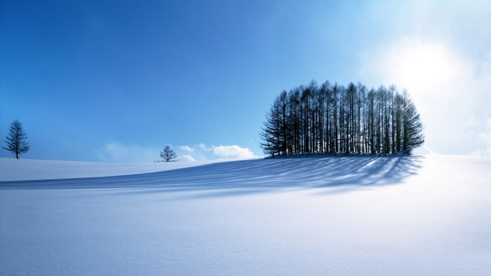 雪, 蓝色, 山, 冬季, 路, 树木, 天空, 太阳