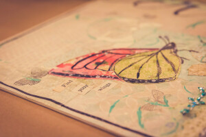 나비, 편지, 본문