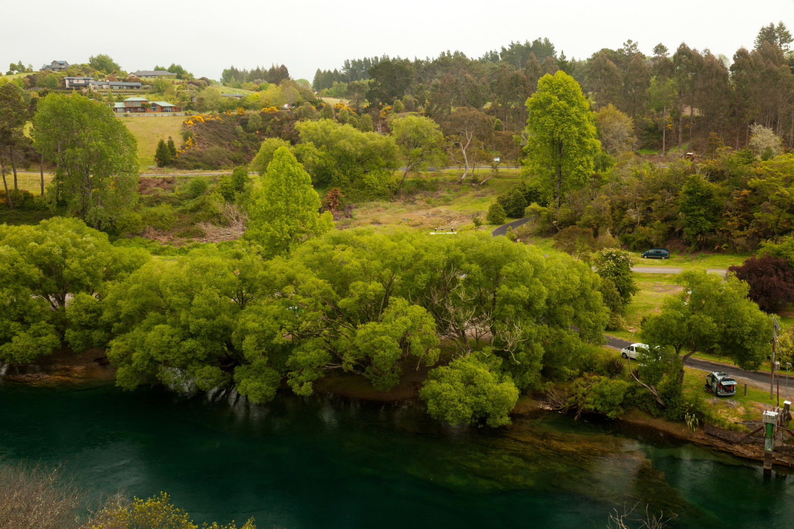 sungai, pantai, jalan, pohon, rumah, Selandia Baru, Waikato, Sungai Waikato