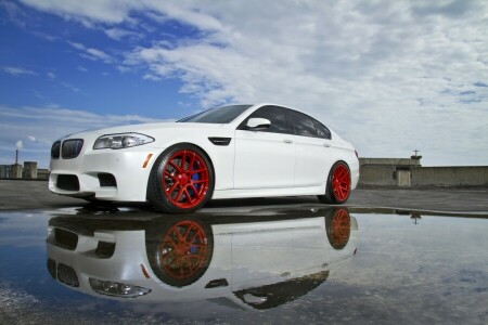 BMW, F10, 水たまり, 反射, 白い
