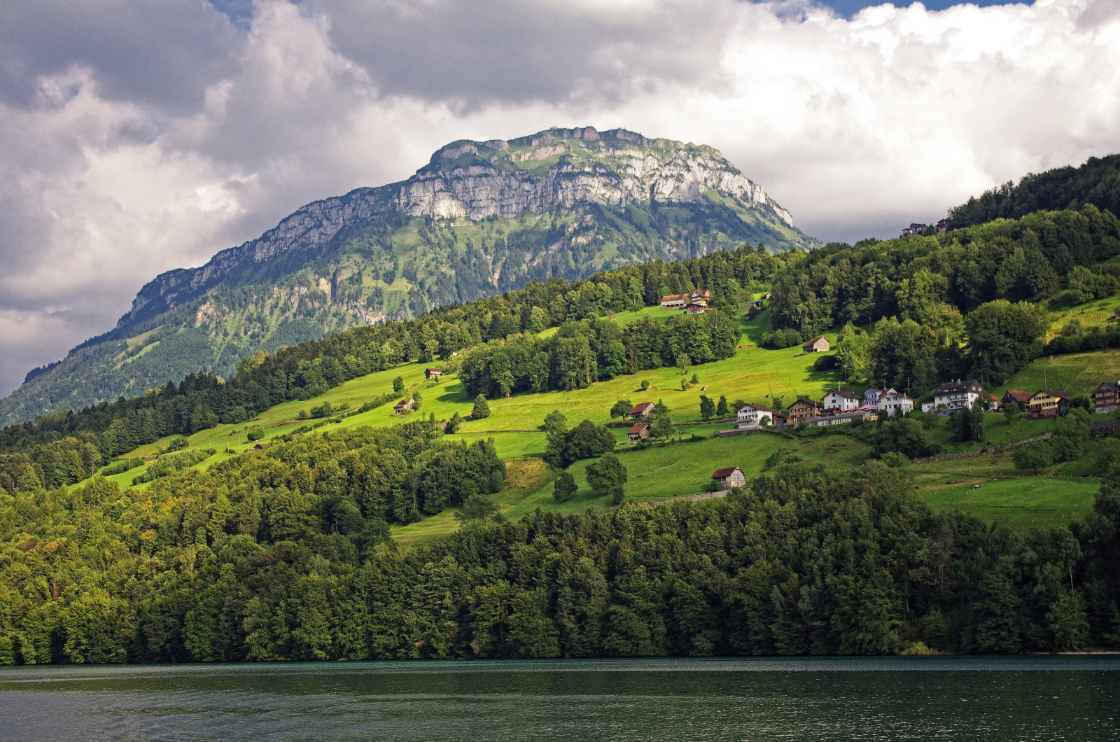 스위스, 호수, 나무, 푸성귀, 산, 집, 경사, 루체른 호수