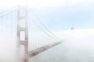 ブリッジ, 霧, サンフランシスコ
