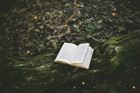 책, 숲, 이끼, 페이지, 나무