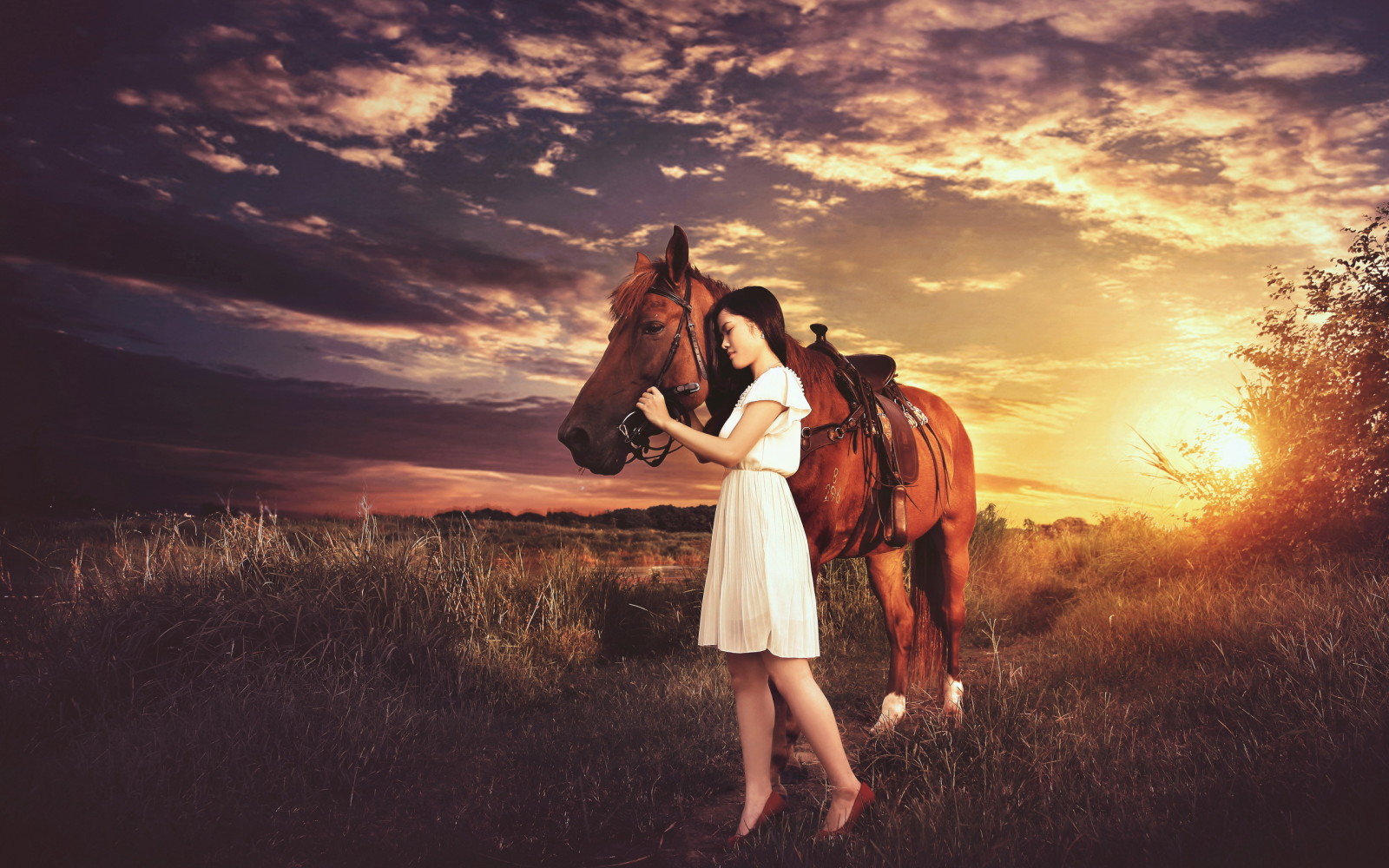 suasana hati, gadis, matahari terbenam, kuda