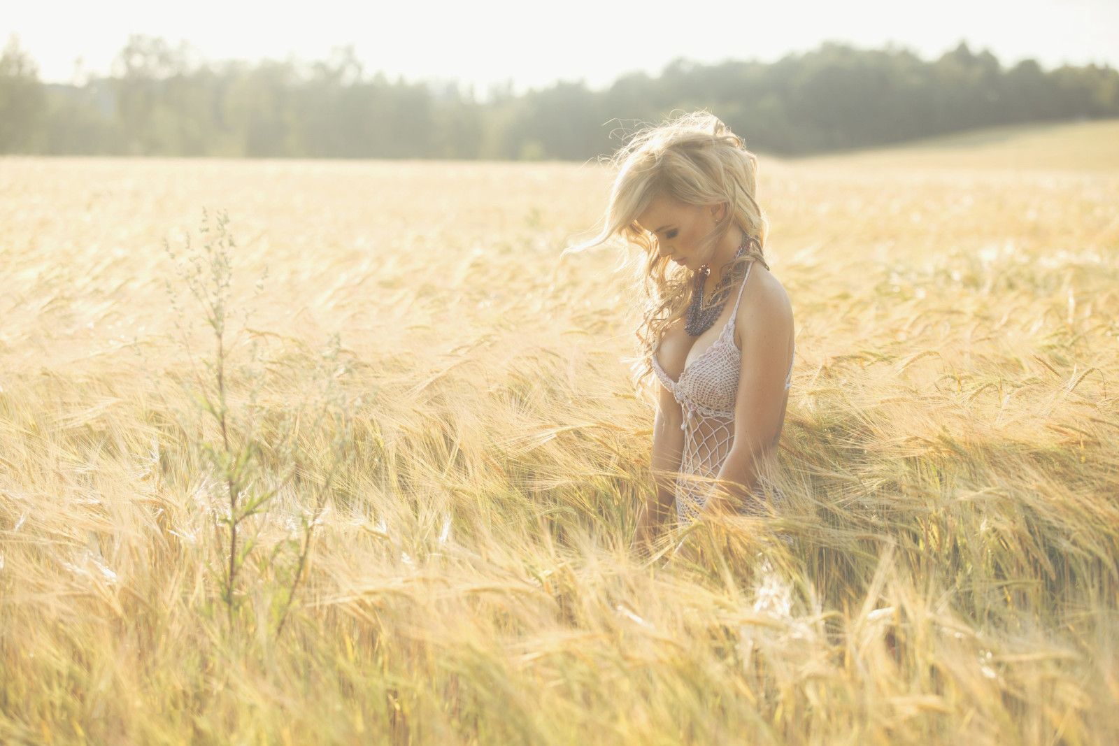 gadis, berambut pirang, bidang, padang rumput, gandum, Olesya