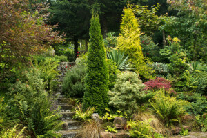 Taman, sayuran hijau, tangga, Taman Mount Pleasant, Taman, Langkah, semak-semak, pohon
