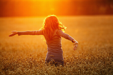 フィールド, 女の子, 風景, 自然, 日没, 小麦