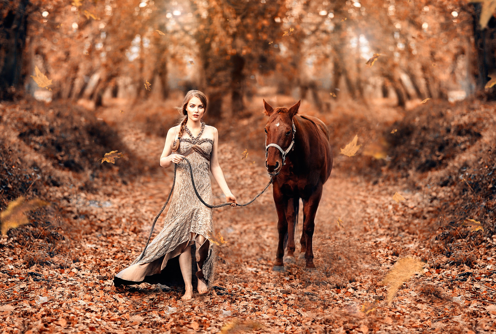 mùa thu, con gái, con ngựa, lá, Truyện cổ tích, Alessandro Di Cicco