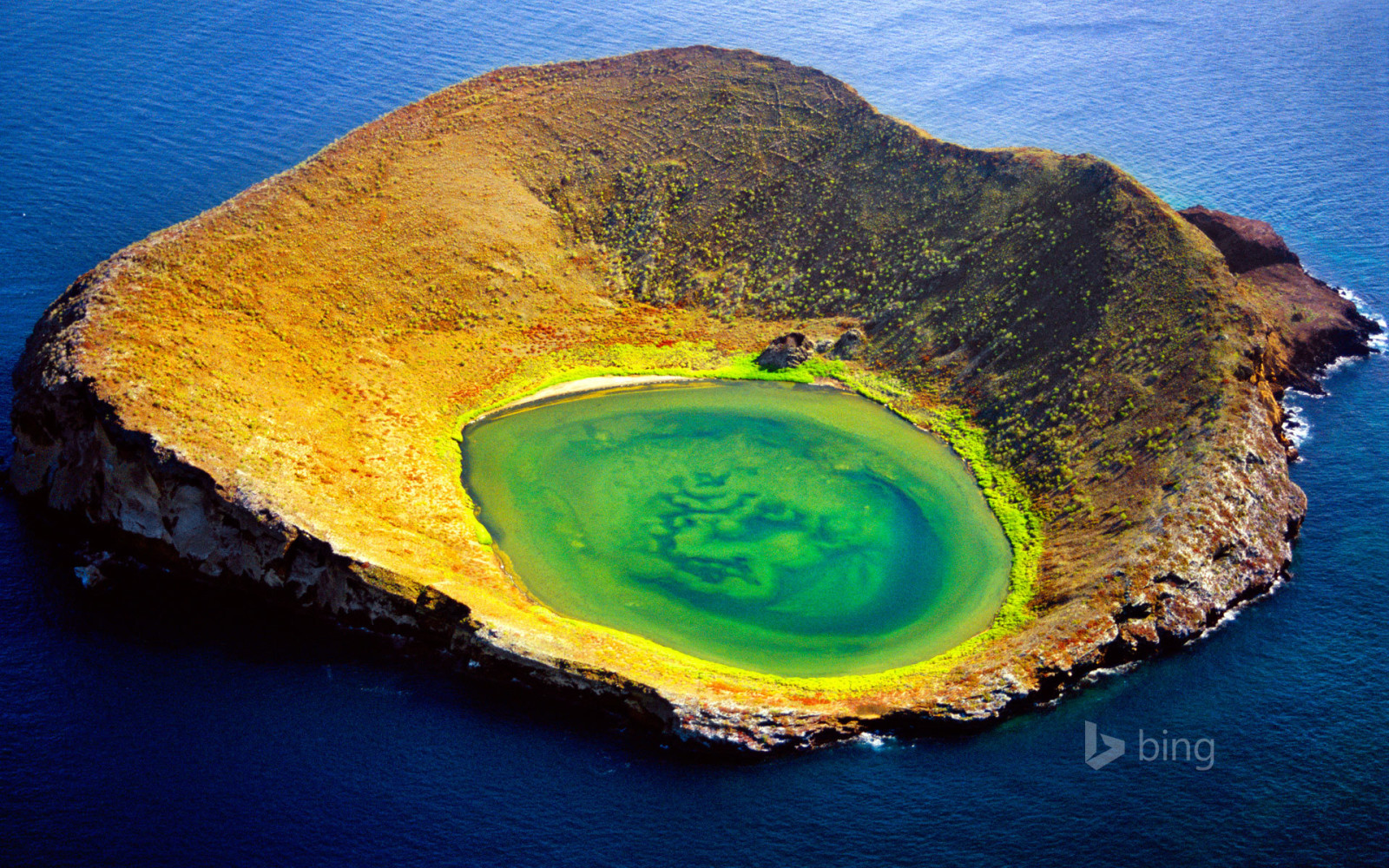 laut, Gunung berapi, kawah, Ekuador, Kepulauan Galapagos, Pulau Santiago