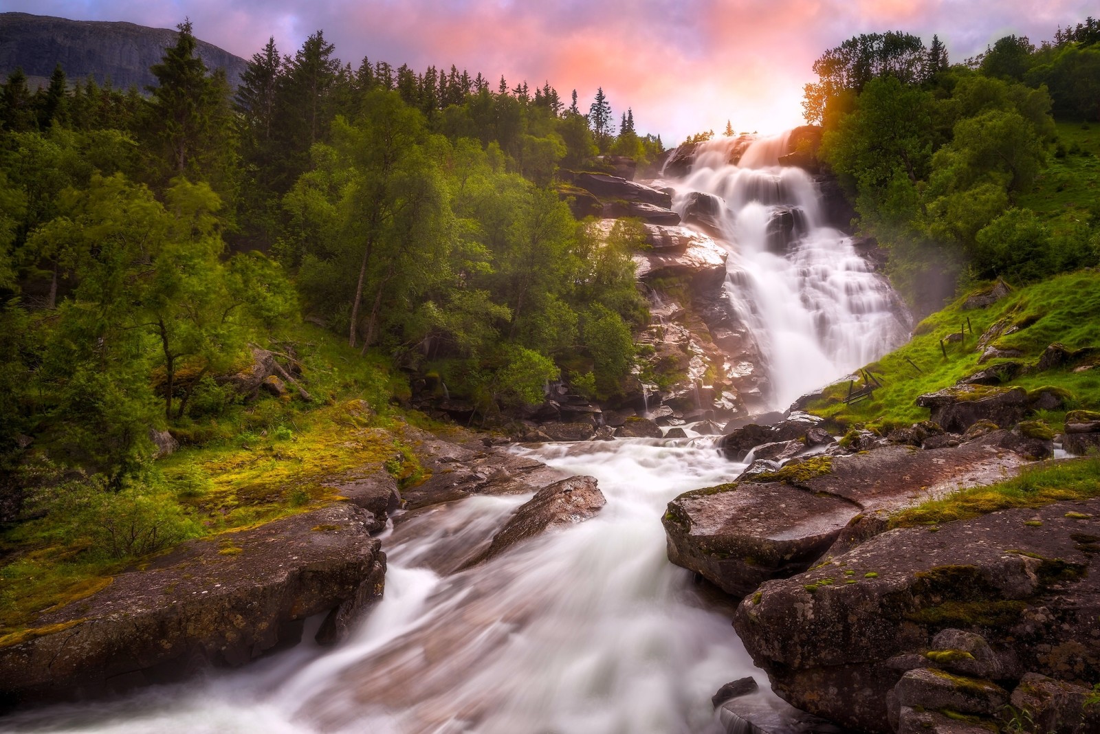 河, 树木, 瀑布, 挪威