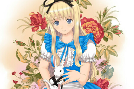 Alice, nghệ thuật, con gái, Con thỏ, xứ sở thần tiên, xiao lian