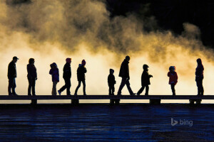 사람들, 다리, 미국, 와이오밍, 옐로 스톤 국립 공원