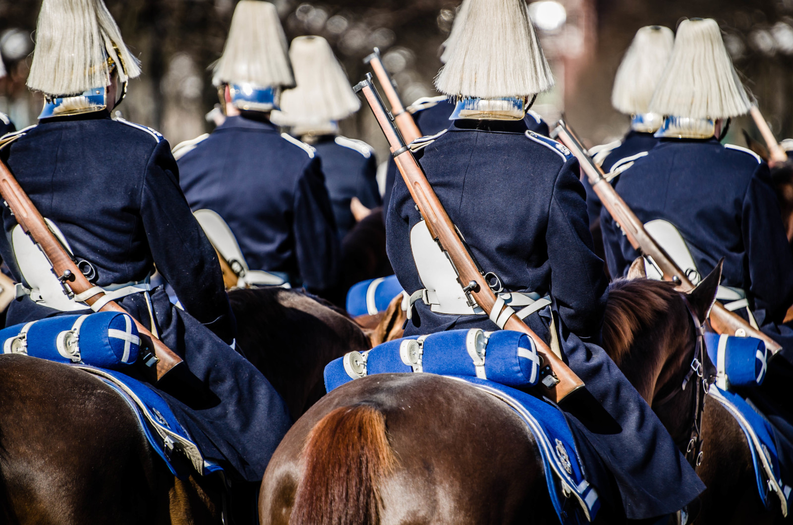 Lính, bảo vệ, súng trường, Sverige, Bảo vệ ngựa Hoàng gia