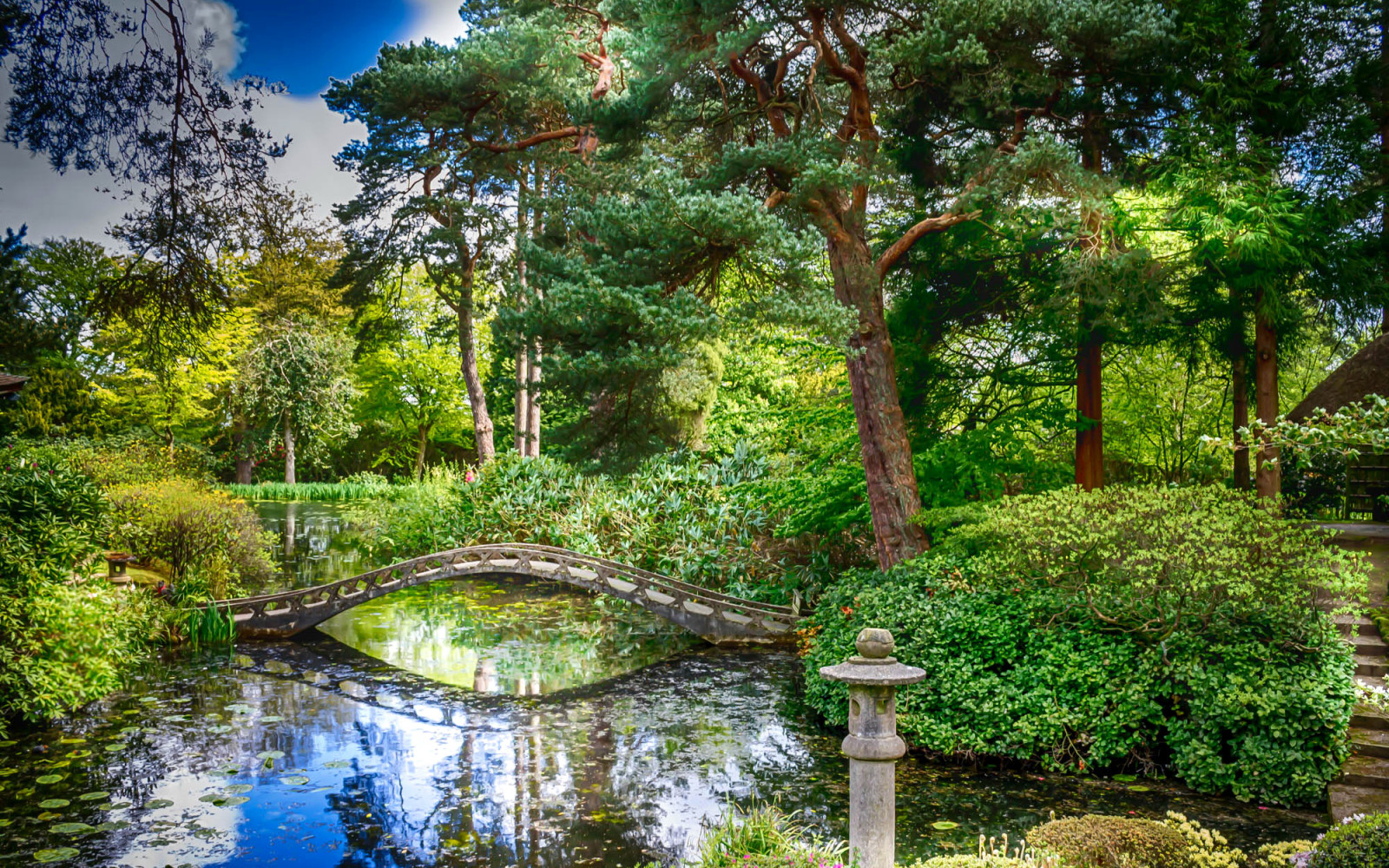 Taman, pohon, sayuran hijau, Inggris, kolam, semak-semak, jembatan, Tatton Hall