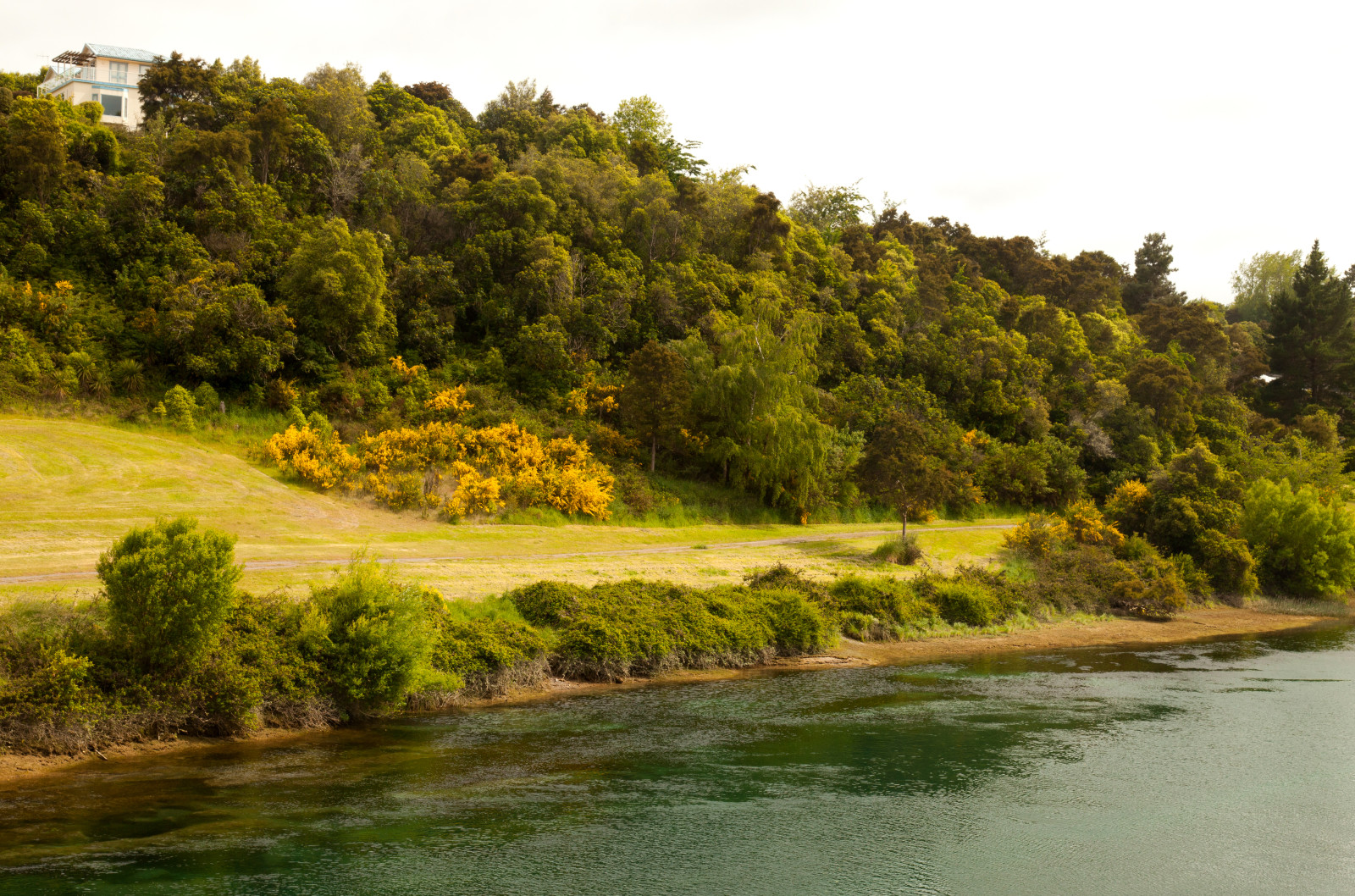 sungai, pantai, jalan, lereng, Selandia Baru, Sungai Waikato