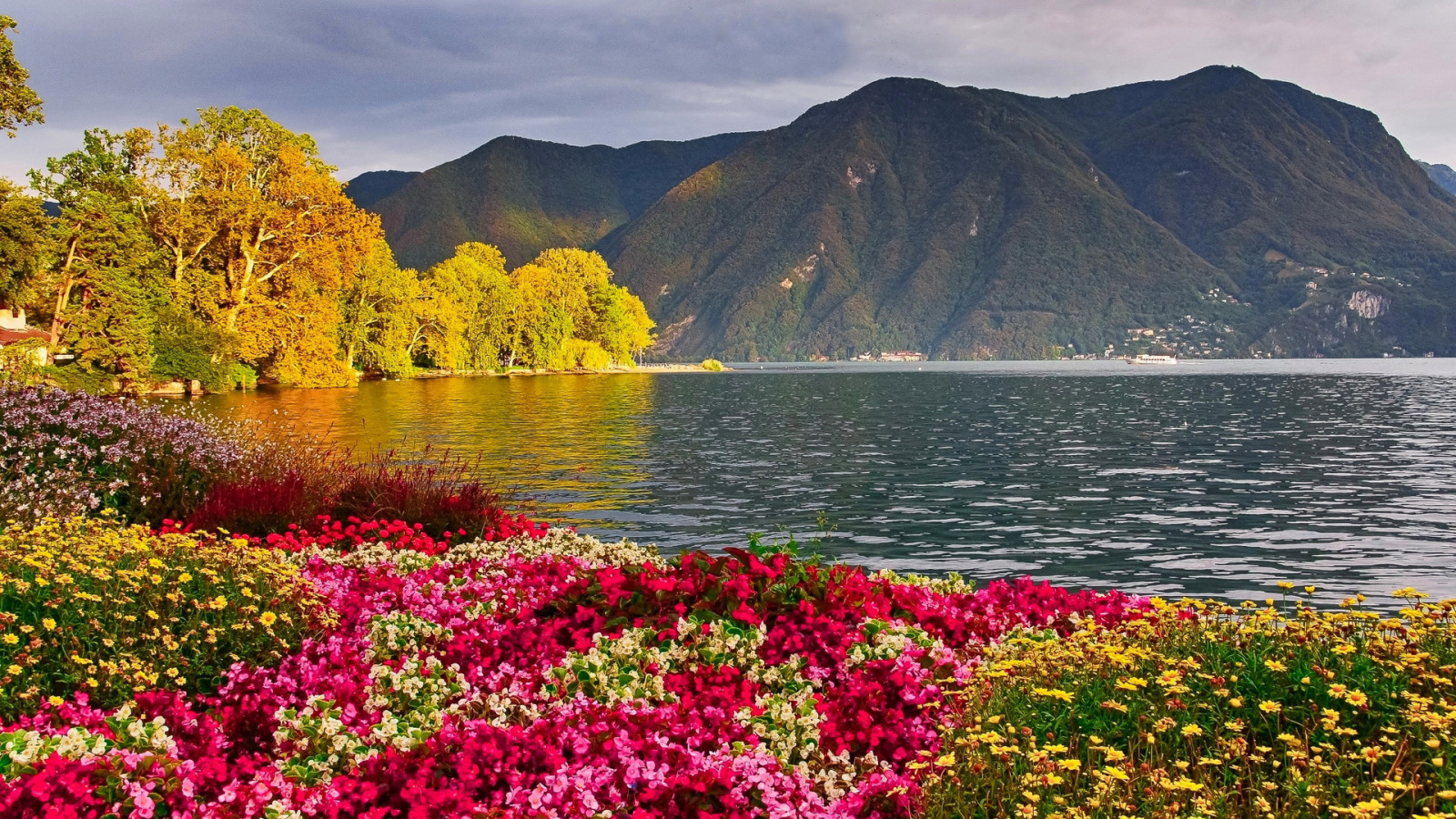 自然, 湖, 景观, 花卉, 山脉, 照片