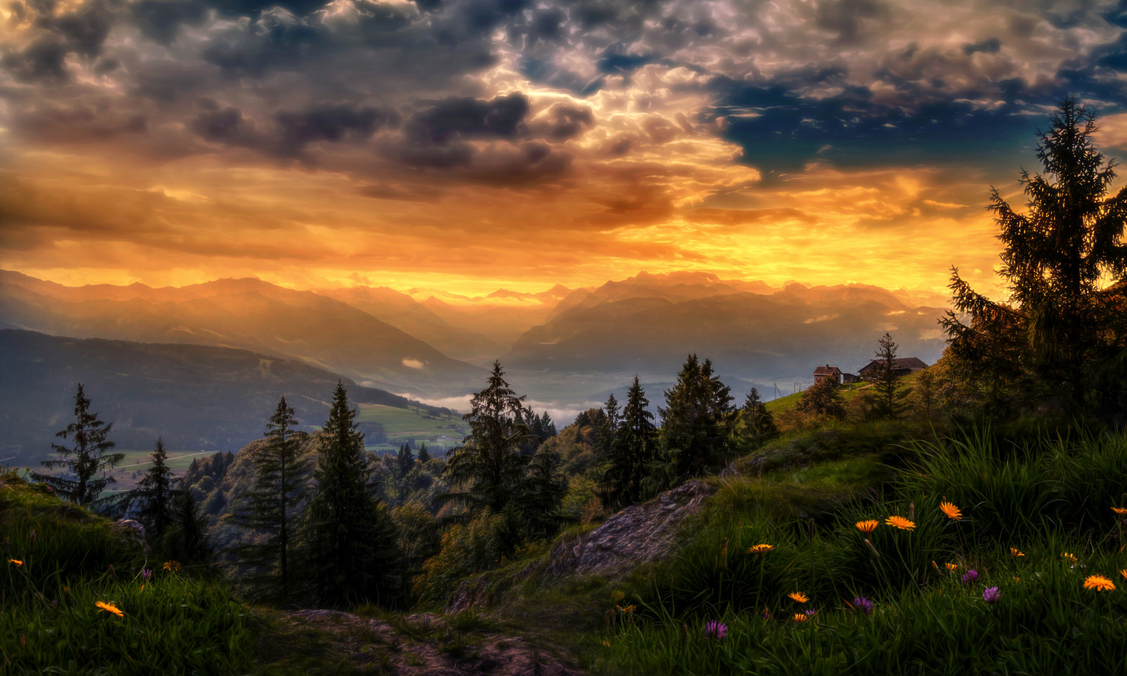 หญ้า, ท้องฟ้า, ประเทศสวิสเซอร์แลนด์, พระอาทิตย์ตกดิน, ต้นไม้, ดอกไม้, เมฆ, ภูเขา