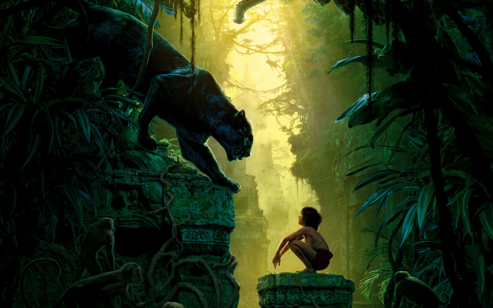 จินตนาการ, ลิง, นก, เด็กผู้ชาย, ป่า, เสือดำ, องุ่น, Mowgli