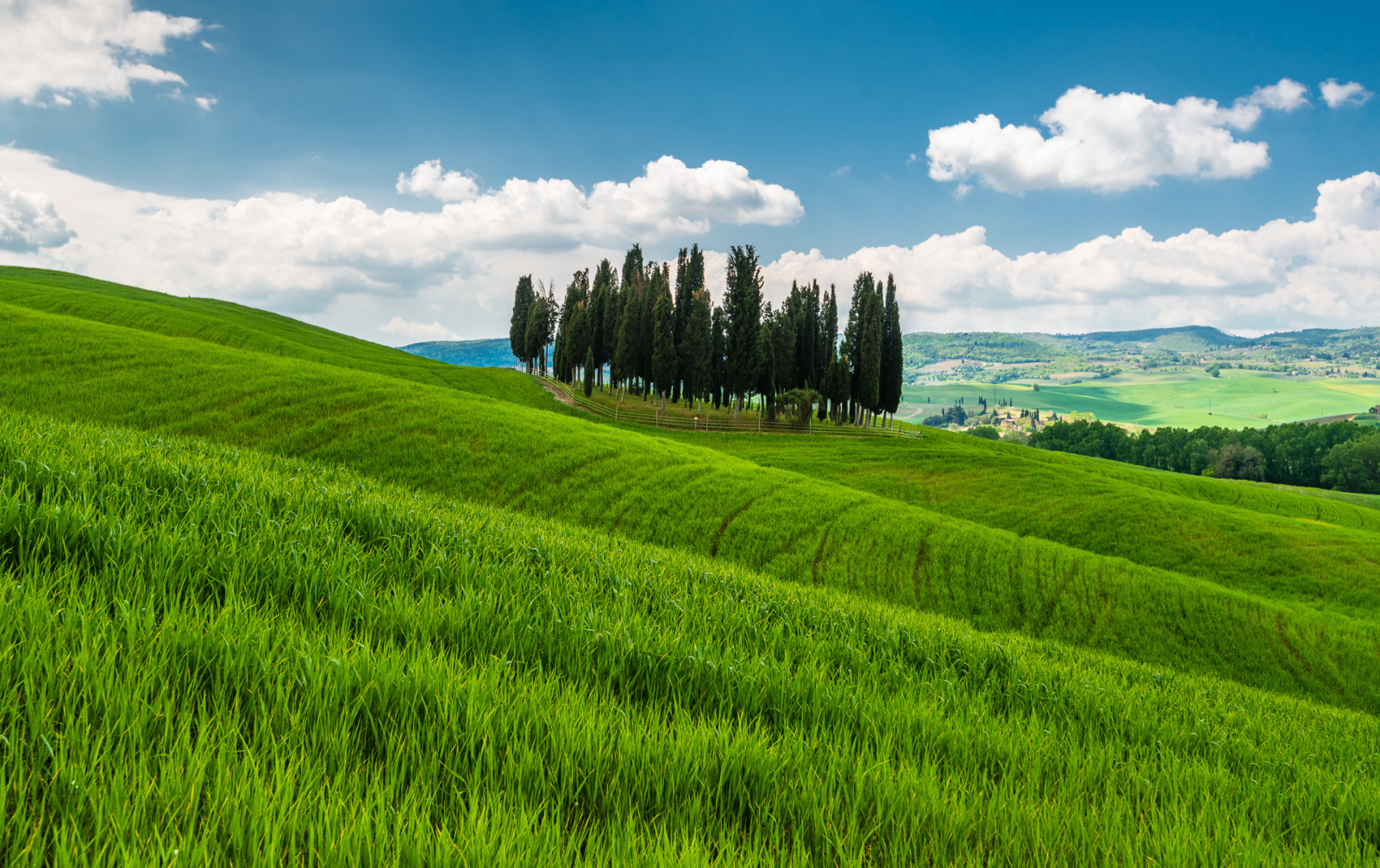 rumput, pohon, gunung, Italia, bukit, Tuscany