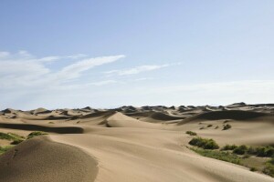 砂丘, 自然, 砂