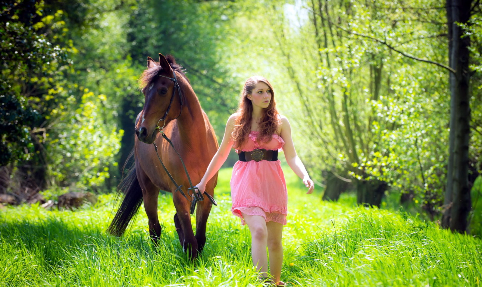 musim panas, gadis, kuda