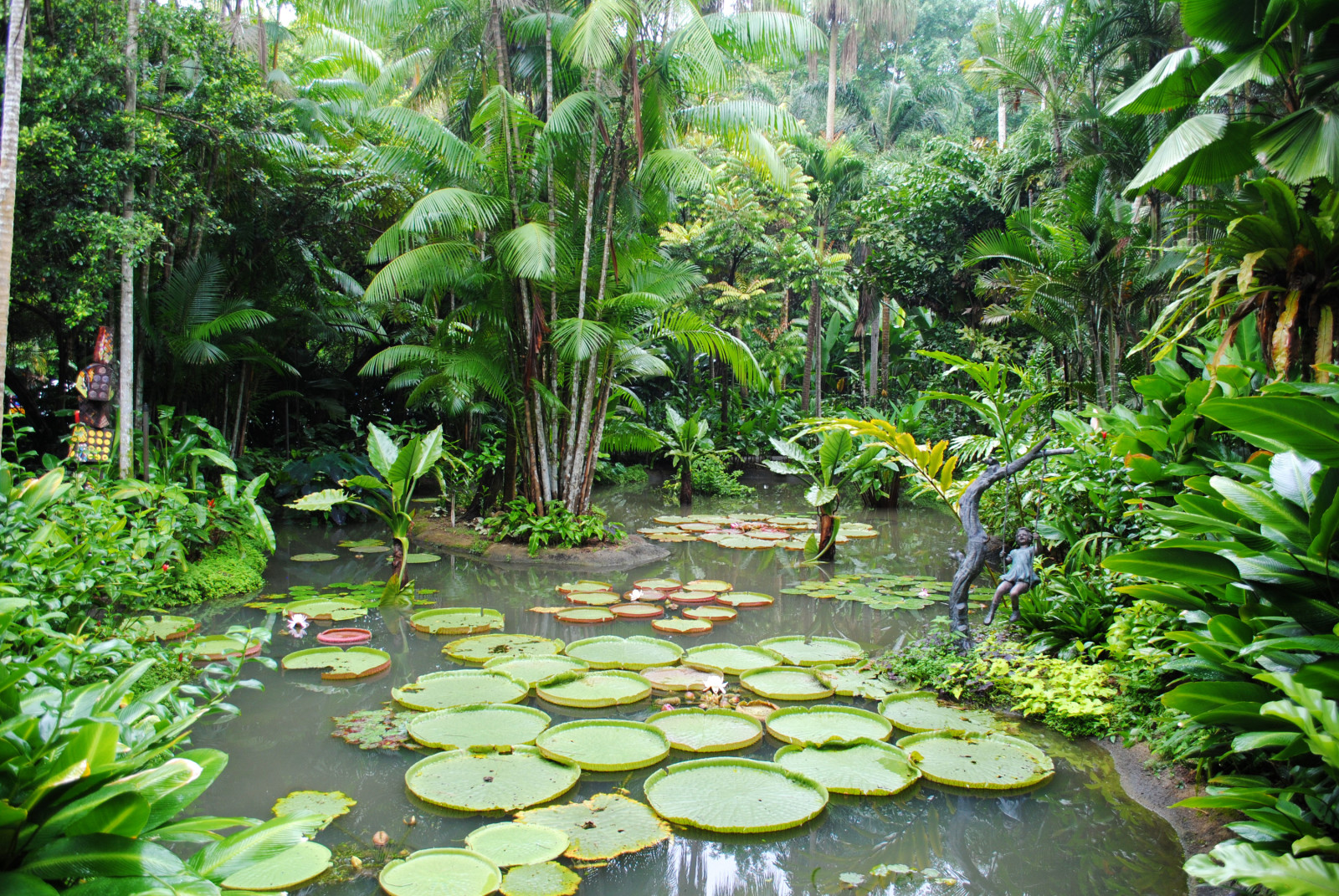 睡莲, 树木, 池塘, 花园, 灌木丛, 新加坡
