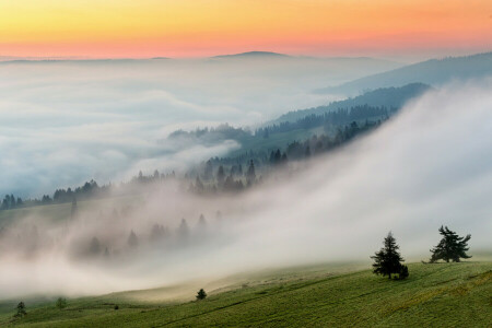 霧, 朝, 自然, スロープ