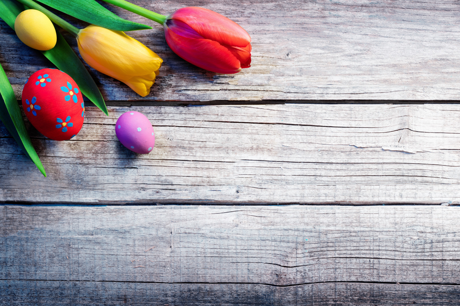 ngày lễ, trứng, những bông hoa, Hoa tulip, Bảng, lễ Phục sinh