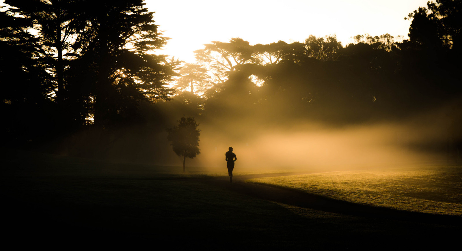 早上, 多雾路段, 跑步