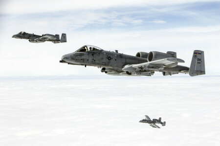 A-10C, 攻撃, キャビン, フライト, 空, 落雷II