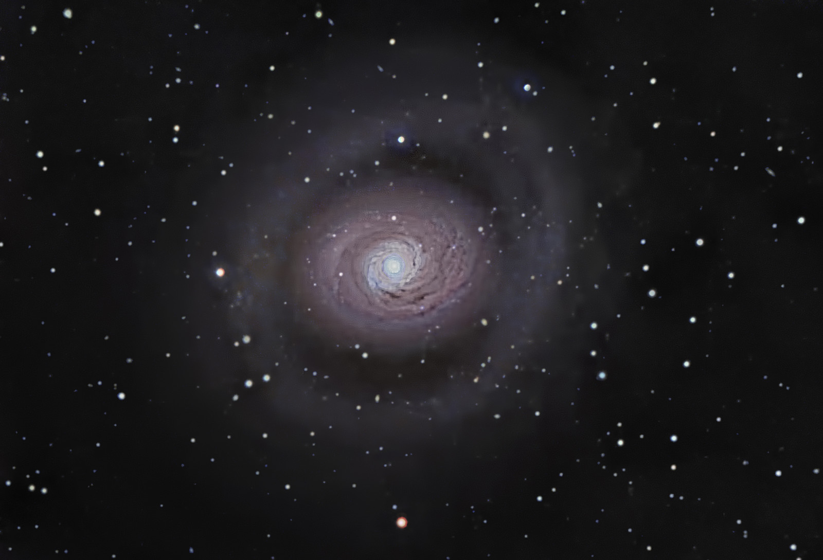 ngân hà, xoắn ốc, trong chòm sao, Chó Beagle, M 94